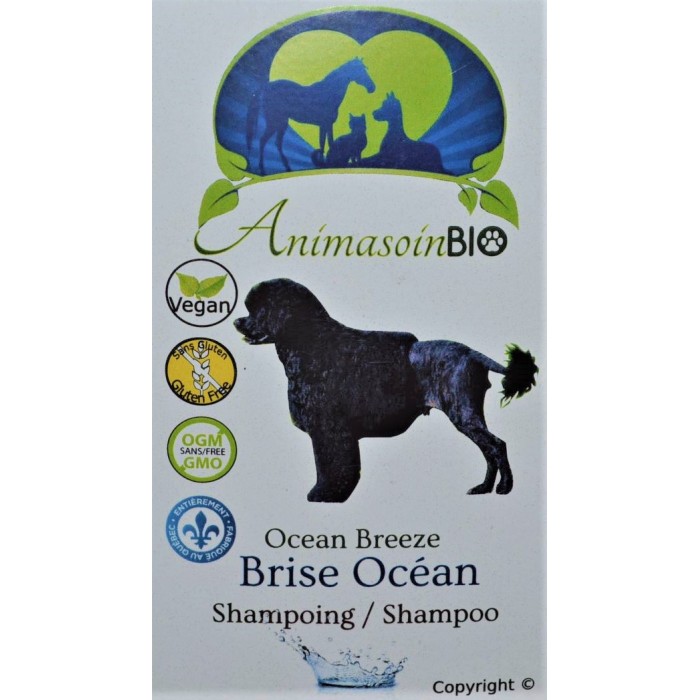 Shampoing Brise d'océan