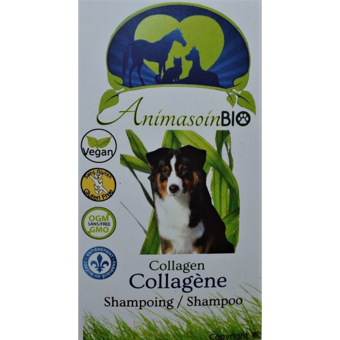 Shampoing Collagène