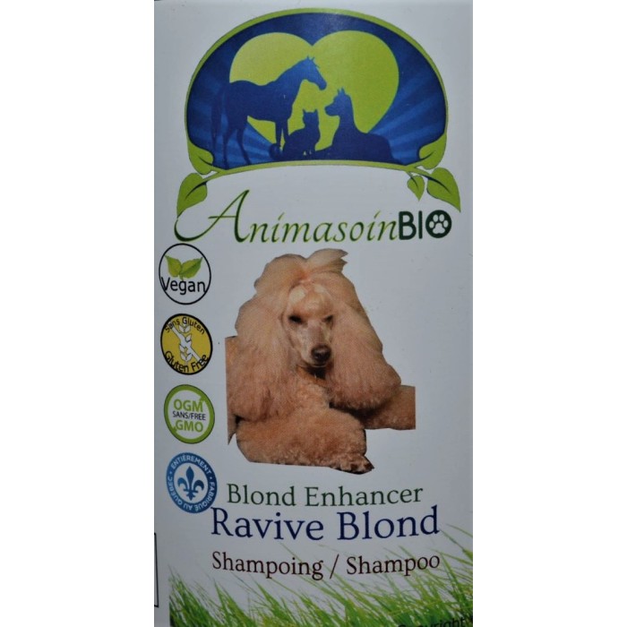 Shampoing raviveur de couleur 