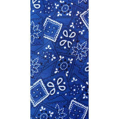 Foulards Classique bandanas (bleu)