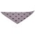 Lilas pattes de chien, cocotte prune 